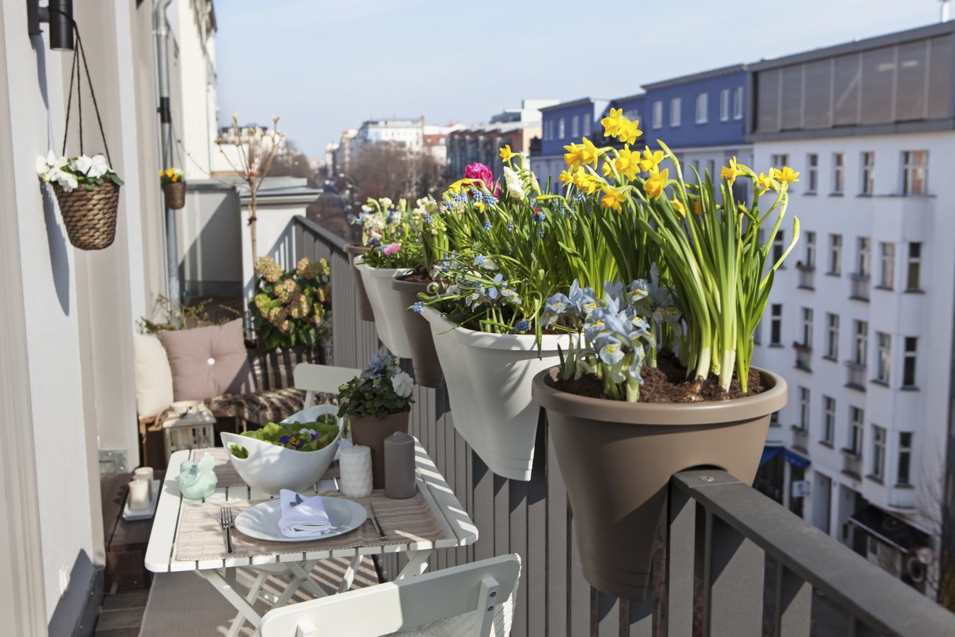 Frühlingsblumen in Töpfen auf einem sonnigen Balkon in der Stadt