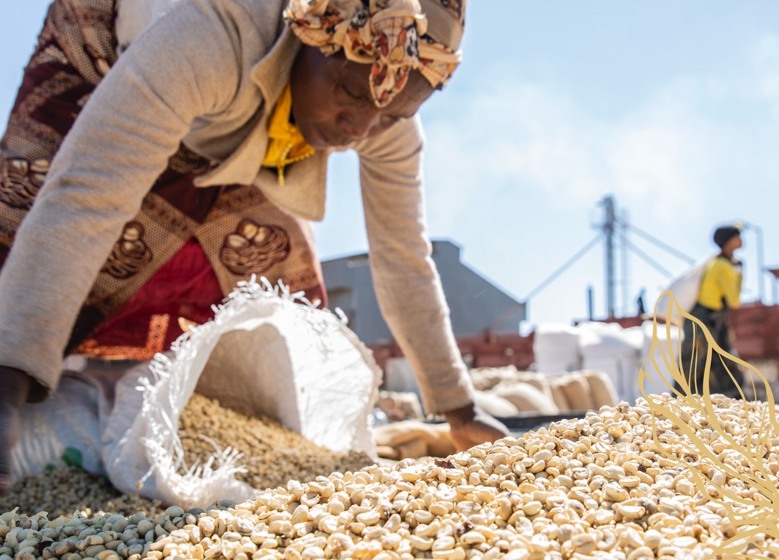 Eine Farmerin, welche einen Sack mit Kaffeebohnen befüllt