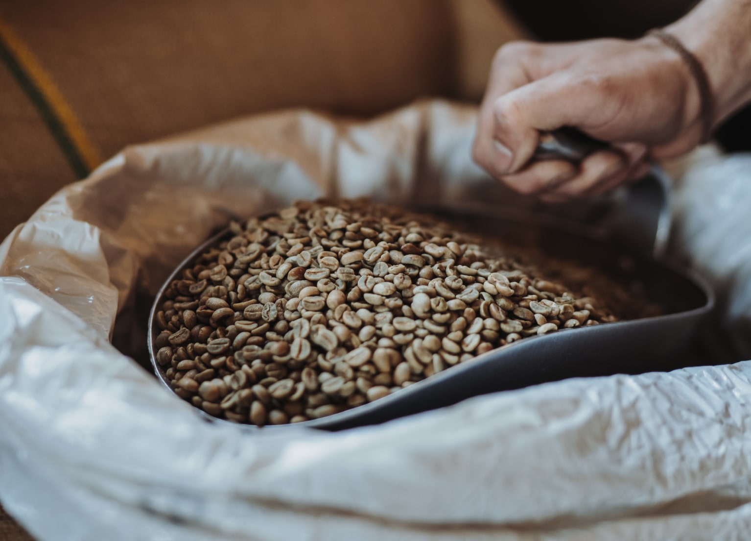 Eine Person schöpft Kaffeebohnen aus einer Tonne