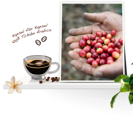 Kapsel für Kapsel 100% Tchibo Arabica