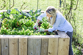 Eine Frau bepflanzt ein Hochbeet.
