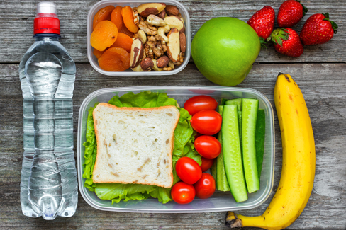 Eine Lunchbox aus Edelstahl oder aus Kunststoff? Beide Materialien haben Vor- und Nachteile