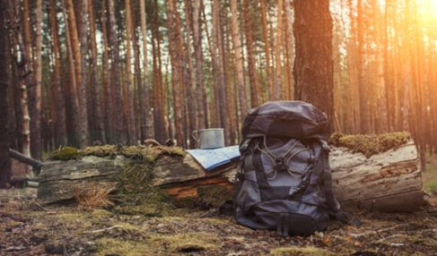 Camping im Detail: Auf einem Baumstumpf liegt ein Wanderrucksack und eine Tasse.