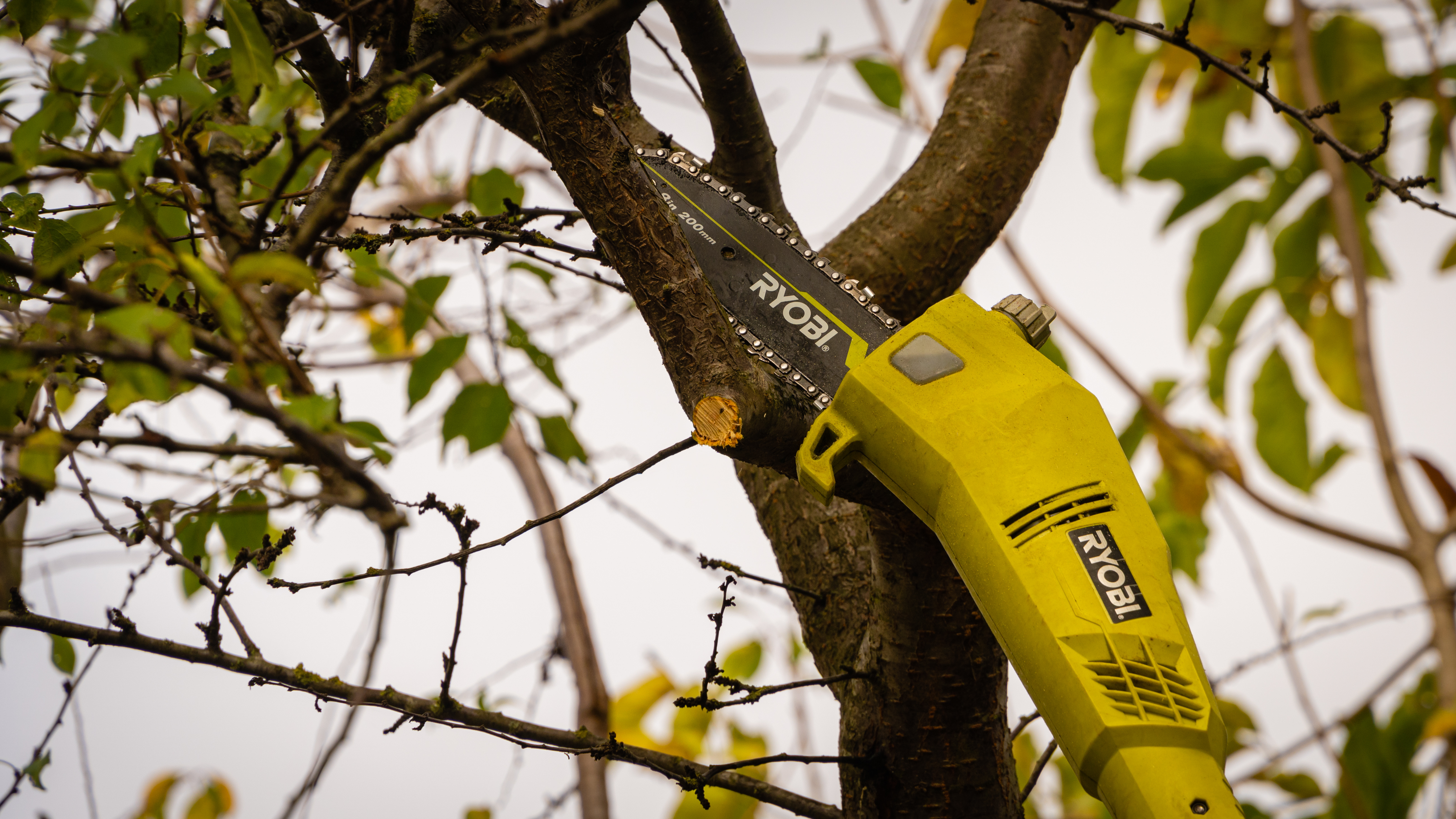 Heckenschere von Ryobi im Baum.