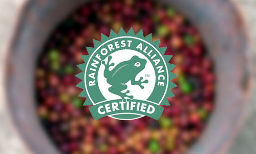 Pôžitok z kávy z trvalo udržateľnej produkcie