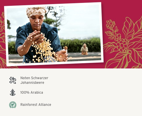 Kaffeefarmerin wendet getrocknete Kaffeebohnen mit den Händen