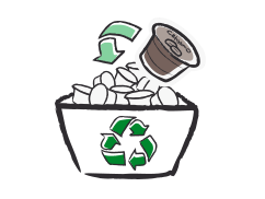 Ilustration einer Tchibo Kaffeepflanze