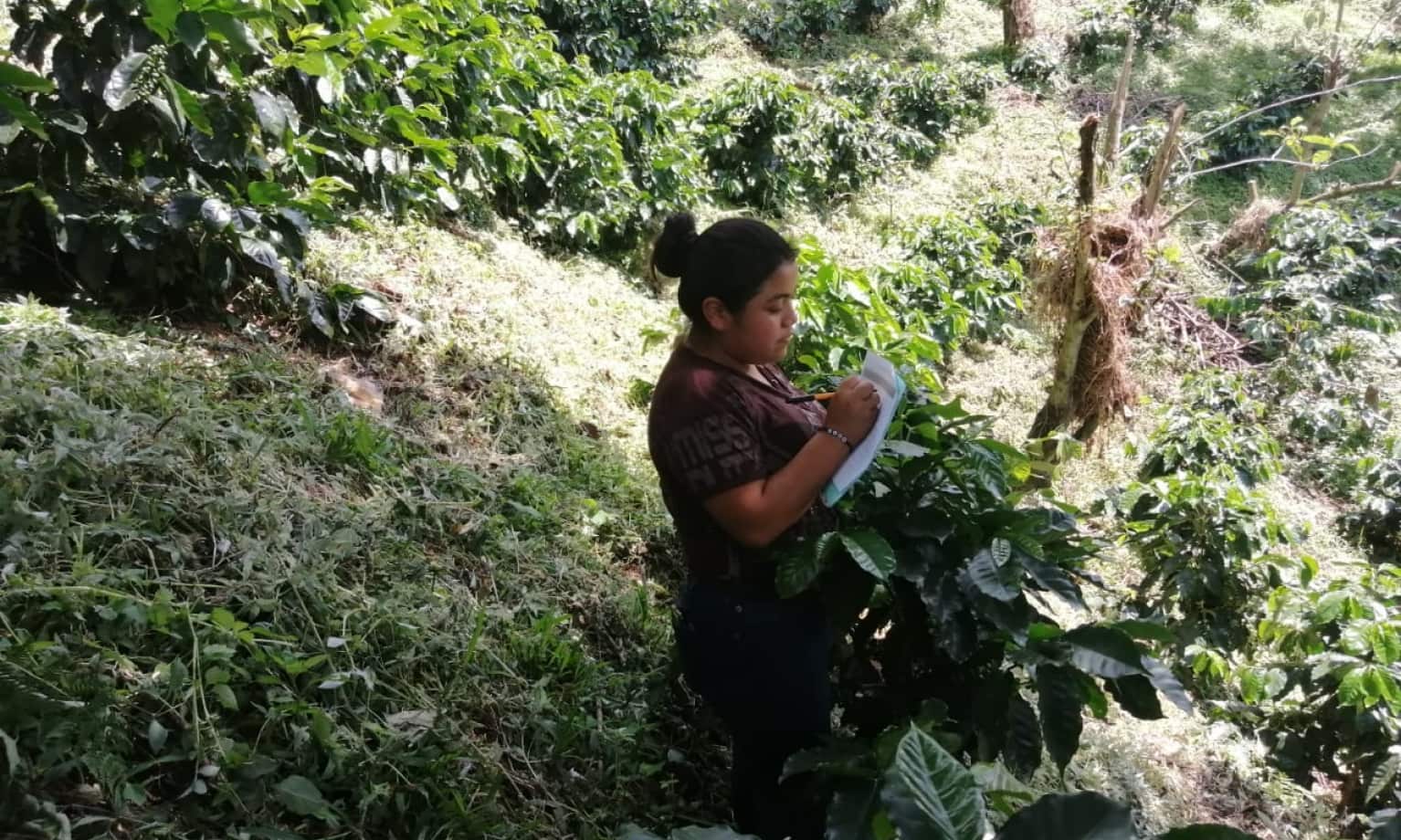 Landschaftsaufnahme von Peru mit Kaffeebäuerin im Vordergrund