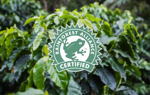 Rainforest Alliance Siegel
