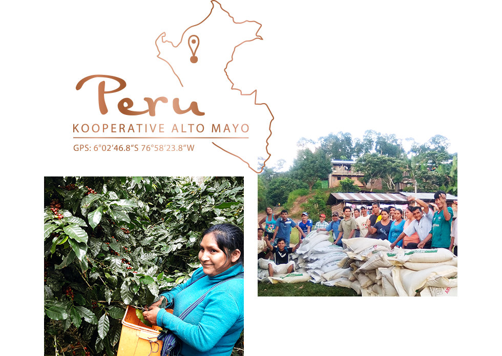 Lage der Kooperative Alto Mayo in Peru