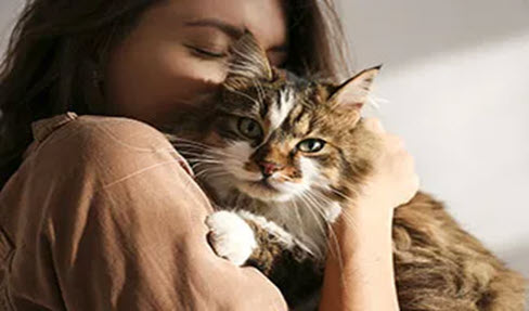 Tierbedarf für Ihre Katze: Eine junge Frau mit langem braunen Haar hält eine weiß-braun-gemusterte Katze in ihrem Arm.