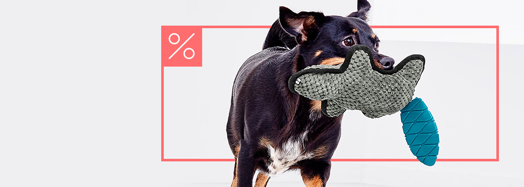 Tierbedarf SALE