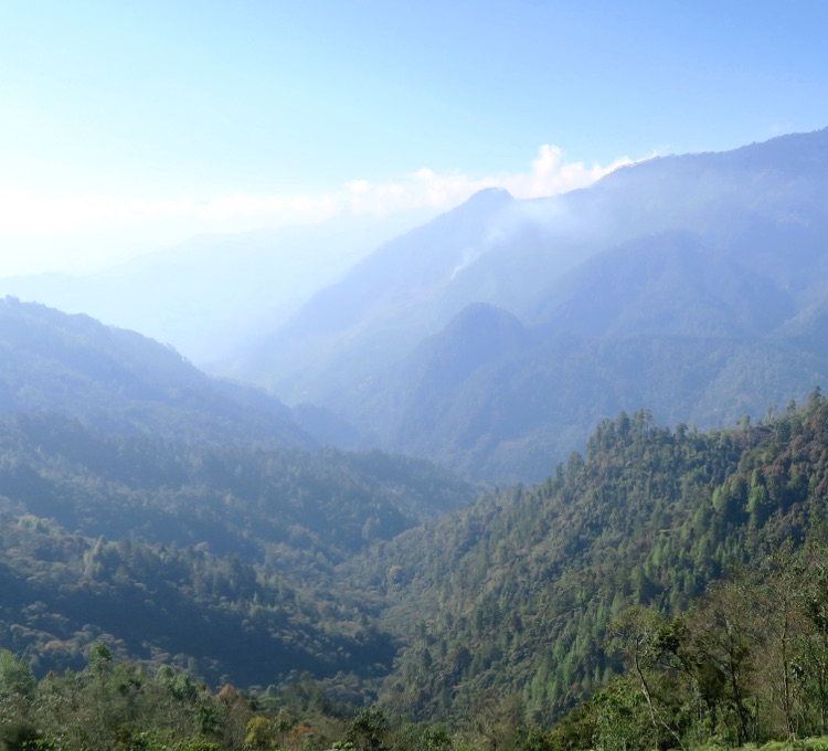 Das Anbaugebiet der Kooperative Asobagri in Guatemala