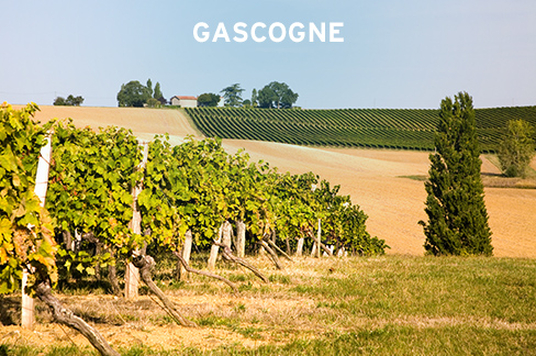 Gascogne