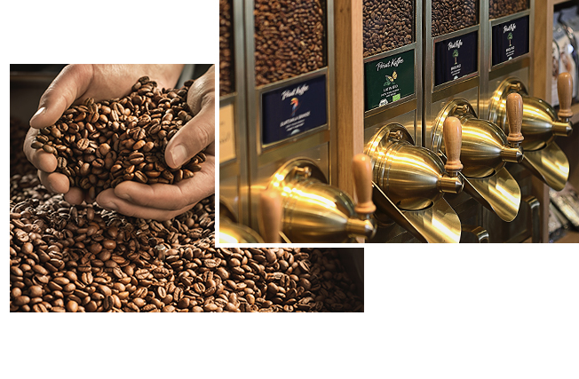 Découvrez votre café préféré.