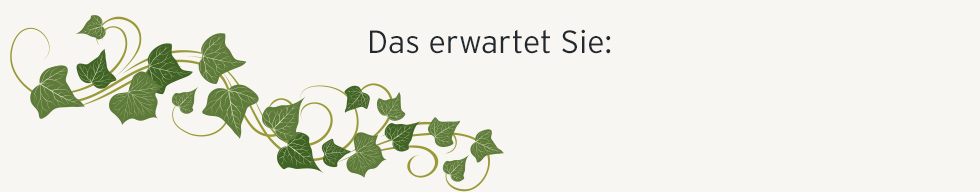 Das erwartet Sie: