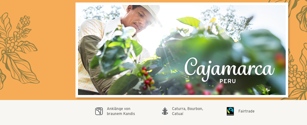 Kaffeefarmer erntet Kaffeekirschen