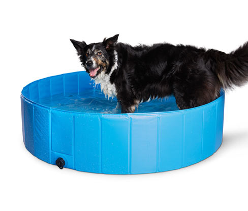 Köpek Havuzu, yaklaşık 120 cm