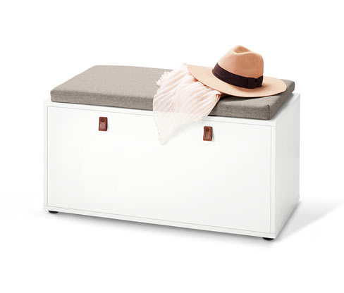 Banc rembourré avec compartiment à trappe
